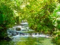 Tabacon Hot Springs River at Arenal Volcano Royalty Free Stock Photo