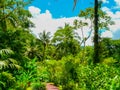 Tabacon Hot Springs River at Arenal Volcano Royalty Free Stock Photo