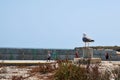 Tabarca Island, Alicante, Spanish coast