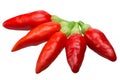 Tabasco chiles C. frutescens, paths