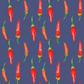 Tabasco hot peppers, capsicums watercolor seamless pattern isolated on blue. Royalty Free Stock Photo