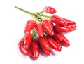 Tabasco peppers Royalty Free Stock Photo
