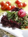 Tabbouleh salad Royalty Free Stock Photo