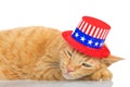 Tabby cat laying on reflective surface wearing patriotic hat. Royalty Free Stock Photo