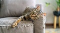 Tabby Cat Lounging on a Frayed Sofa. Generative ai