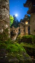 Tabby cat peeks from behind moss covered tree trunk under moonlight in Japanese garden Royalty Free Stock Photo