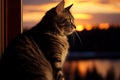 A tabby cat sitting by a window during sunset, staring into the distance, immersed in the warm hues of the setting sun. Generative