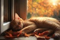 Tabby cat sleeping by window in autumn. Neural network AI generated Royalty Free Stock Photo