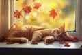 Tabby cat sleeping by window in autumn. Neural network AI generated Royalty Free Stock Photo