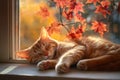 Tabby cat sleeping by window in autumn. Neural network AI generated Royalty Free Stock Photo
