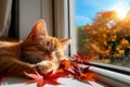 Tabby cat sleeping by window in autumn. Neural network AI generated Royalty Free Stock Photo