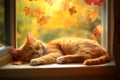 Tabby cat sleeping by window in autumn. Neural network AI generated Royalty Free Stock Photo