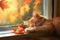 Tabby cat sleeping by window in autumn. Neural network AI generated Royalty Free Stock Photo
