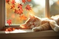 Tabby cat sleeping by window in autumn. Neural network AI generated Royalty Free Stock Photo
