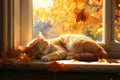 Tabby cat sleeping by window in autumn. Neural network AI generated Royalty Free Stock Photo