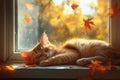 Tabby cat sleeping by window in autumn. Neural network AI generated Royalty Free Stock Photo