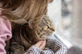 Tabby cat on window sill vet clinic girl hugs pet Royalty Free Stock Photo