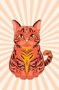 Tabby ginger cat Royalty Free Stock Photo