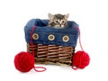 Tabby kitten in a basket