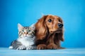 Tabby kitten and brown dog lying together. Pets on blue background, copy space. AI generated