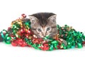 Tabby kitten with Christmas tinsel