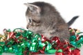 Tabby kitten with Christmas tinsel