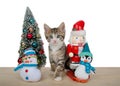 Tabby kitten peeking around tiny christmas tree and decorations Royalty Free Stock Photo