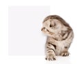 Tabby kitten peeking out of a blank sign. isolated Royalty Free Stock Photo