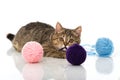 Tabby kitten with wool balls Royalty Free Stock Photo