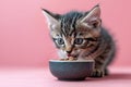 Tabby kitten sits next to bowl of food on pink background, front view.