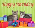 Tabby kittens in Birthday presents