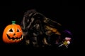Tabby and white cat with green eyes standing next to a jack o lantern and Halloween candy against a black background Royalty Free Stock Photo