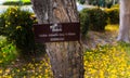 Tabebuia chrysantha tree sign Royalty Free Stock Photo