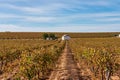 Tablas de Daimiel National Park, Castilla la Mancha, Spain Royalty Free Stock Photo