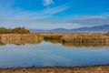 Tablas de Daimiel National Park, Castilla la Mancha, Spain Royalty Free Stock Photo