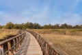 Tablas de Daimiel National Park, Castilla la Mancha, Spain Royalty Free Stock Photo