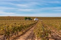 Tablas de Daimiel National Park, Castilla la Mancha, Spain Royalty Free Stock Photo