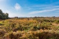 Tablas de Daimiel National Park, Castilla la Mancha, Spain Royalty Free Stock Photo