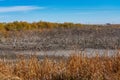 Tablas de Daimiel National Park, Castilla la Mancha, Spain Royalty Free Stock Photo