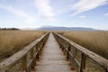 Tablas de Daimiel. Natural park in spain Royalty Free Stock Photo