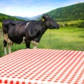 Table background of free space for your decoration and natutal landscape with cow. Royalty Free Stock Photo