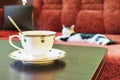 On the table is a beautiful white coffee Cup and saucer, on the sofa is a cat.