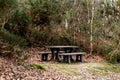 Table with benches for relaxation in forest. Place of rest for tourists and travelers