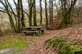 Table with benches for relaxation in forest. Place of rest for tourists and travelers