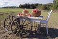 Table with chair, apples and wooden wheels in field