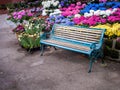 Table and chairs  on a lawn at the garden Royalty Free Stock Photo