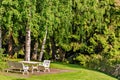 Table and chairs on lawn in garden Royalty Free Stock Photo