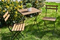 Table with chairs on summer lawn in garden Royalty Free Stock Photo