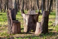Table and chairs of wood trunk stumps. Rest place Royalty Free Stock Photo