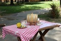 Table with checkered cover and small barrel Royalty Free Stock Photo